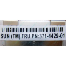 Серверная память SUN (FRU PN 371-4429-01) 4096Mb (4Gb) DDR3 ECC в Санкт-Петербурге, память для сервера SUN FRU P/N 371-4429-01 (Санкт-Петербург)