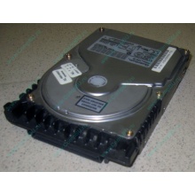 Жесткий диск 18.4Gb Quantum Atlas 10K III U160 SCSI (Санкт-Петербург)