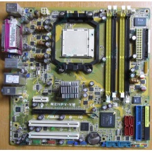 Материнская плата Asus M2NPV-VM socket AM2 (без задней планки-заглушки) - Санкт-Петербург
