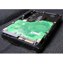 Жесткий диск 600Gb 15k Dell 9FN066-008 6G SAS ( Seagate Cheetach ST3600057SS 15K.7) - Санкт-Петербург