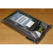 Жёсткий диск 146.8Gb HP 365695-008 404708-001 BD14689BB9 256716-B22 MAW3147NC 10000 rpm Ultra320 Wide SCSI купить в Санкт-Петербурге, цена (Санкт-Петербург).