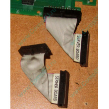 6017B0045701 Шлейф 24 pin для Intel C74974-401 T0043401-B01 корпуса SR2400 (Санкт-Петербург)