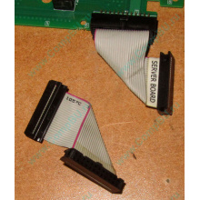 6017B0045701 Шлейф 24 pin для Intel C74974-401 T0043401-B01 корпуса SR2400 (Санкт-Петербург)