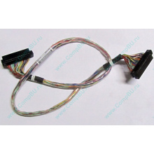 6017B0045301 в Санкт-Петербурге, 68pin SCSI кабель 26.5" / 57cm для корзины HDD Intel SR2400 (Санкт-Петербург)