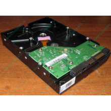 Жесткий диск 500Gb WD WD5000AAKX HP 634605-003 613208-001 7.2k SATA (Санкт-Петербург)